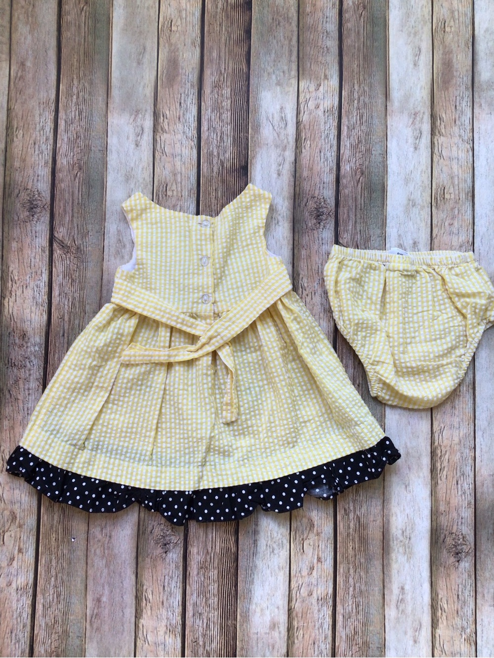 Counting Daisies Bee Gingham Dress and Bloomers - Picture 2 of 4